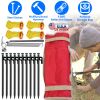 Tent Stakes Camping Hammer Tent Pegs Set Camping Accessories Kit With 9.84Ft Reflective Ropes For Camping Hiking Canopy